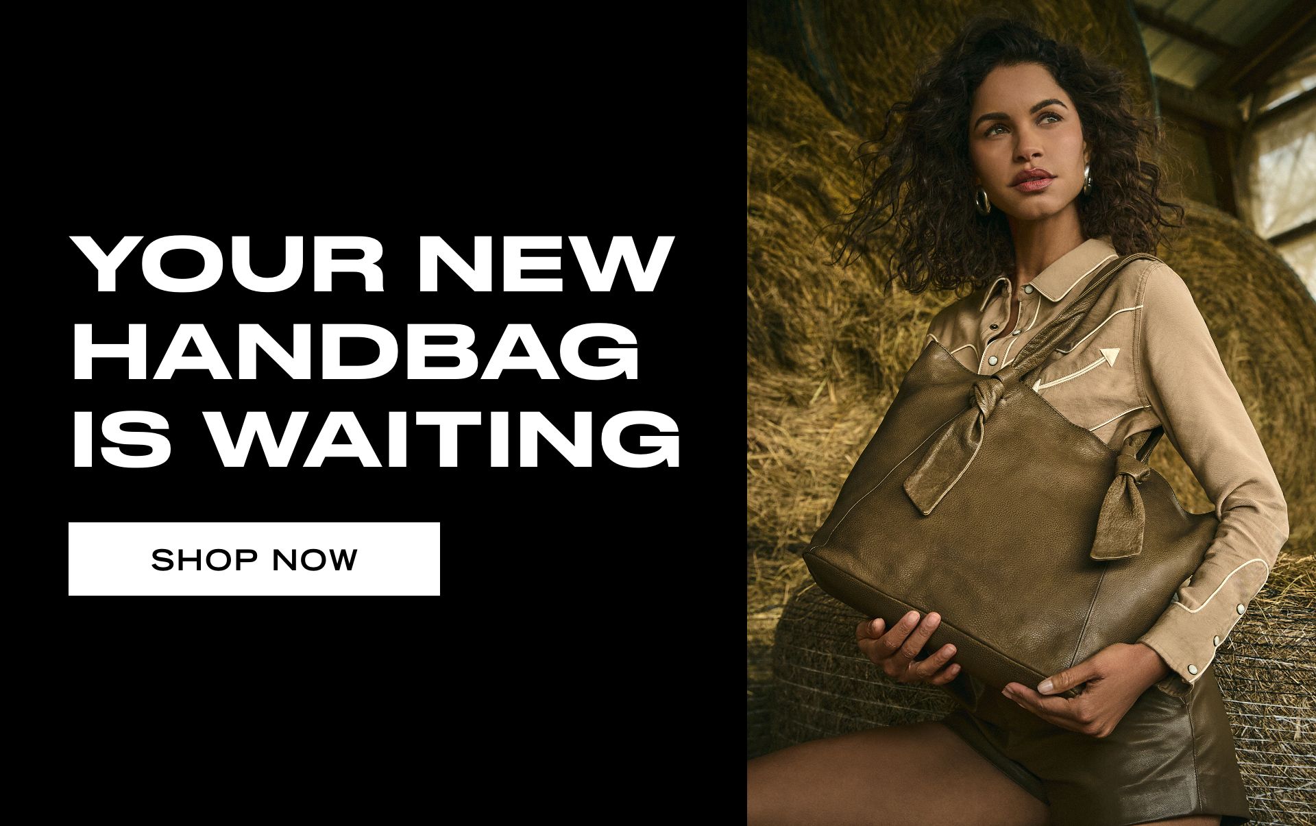SHOP NOW