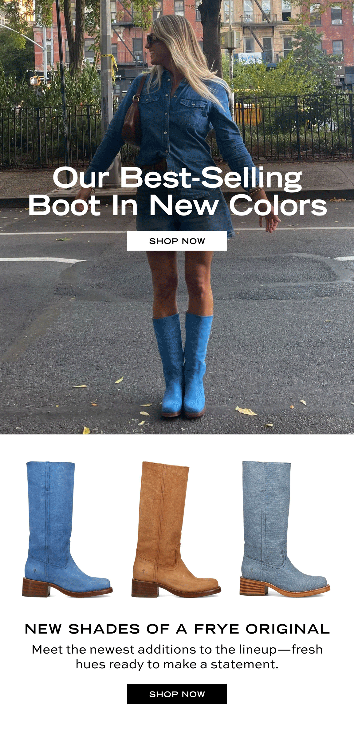 SHOP NOW