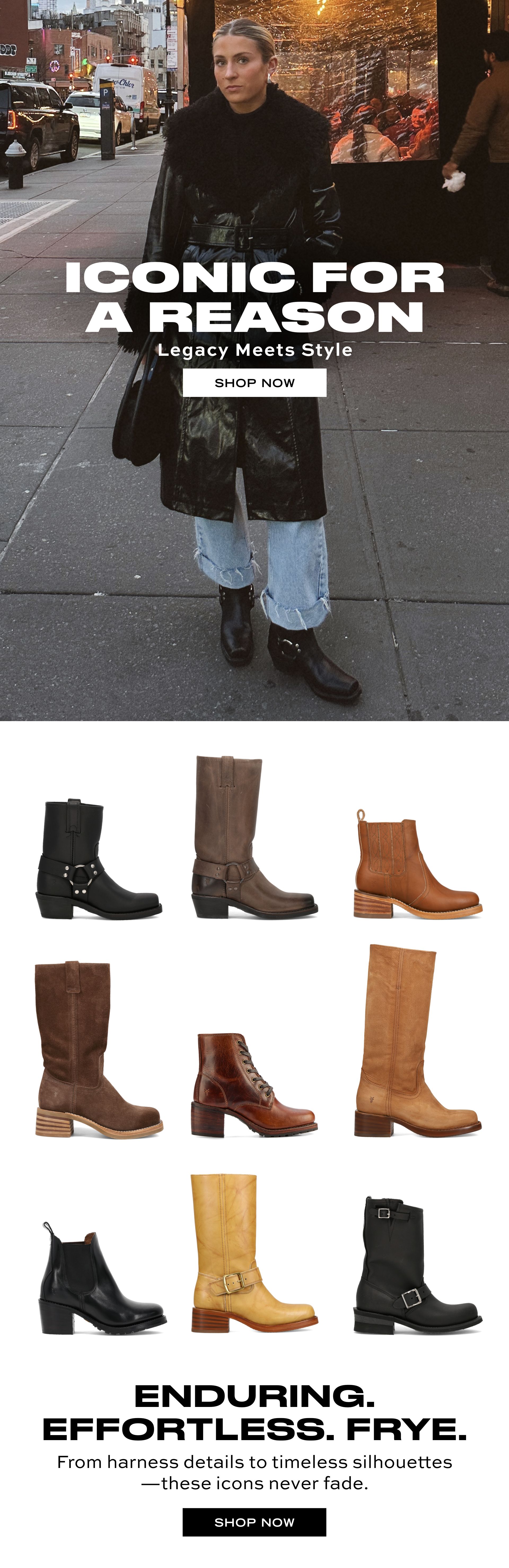SHOP NOW