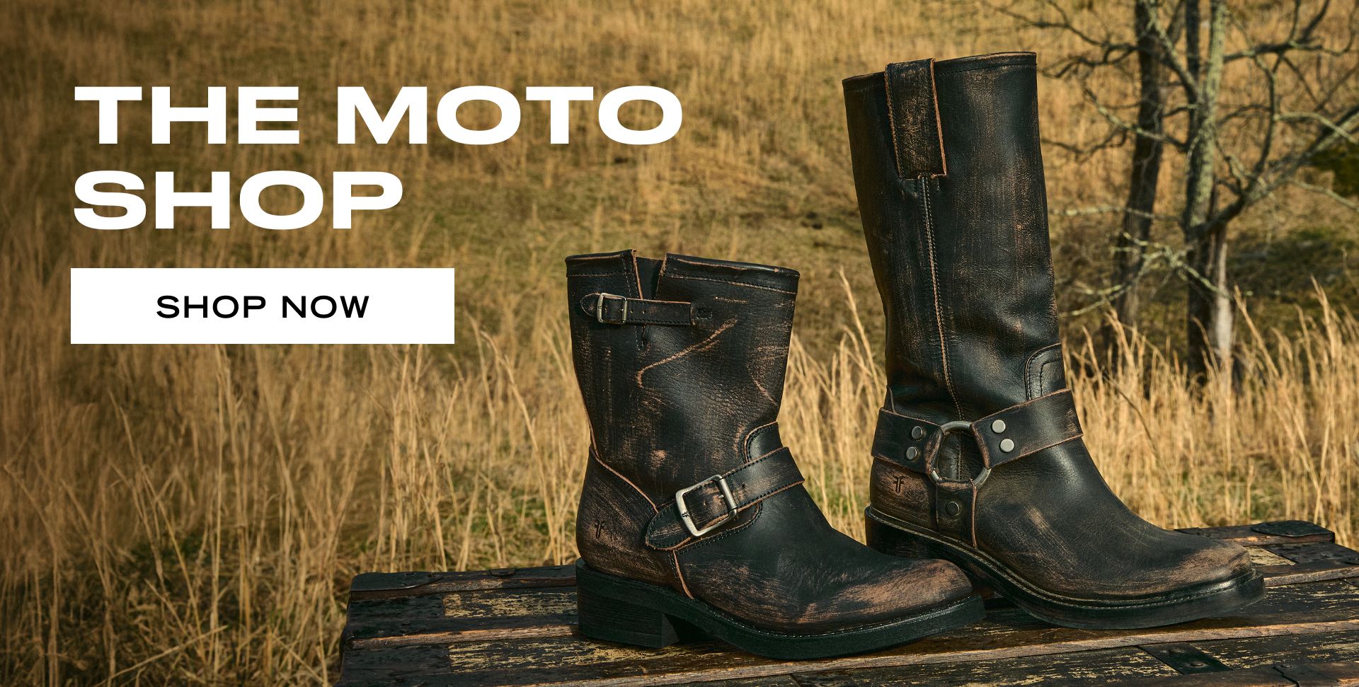 SHOP NOW