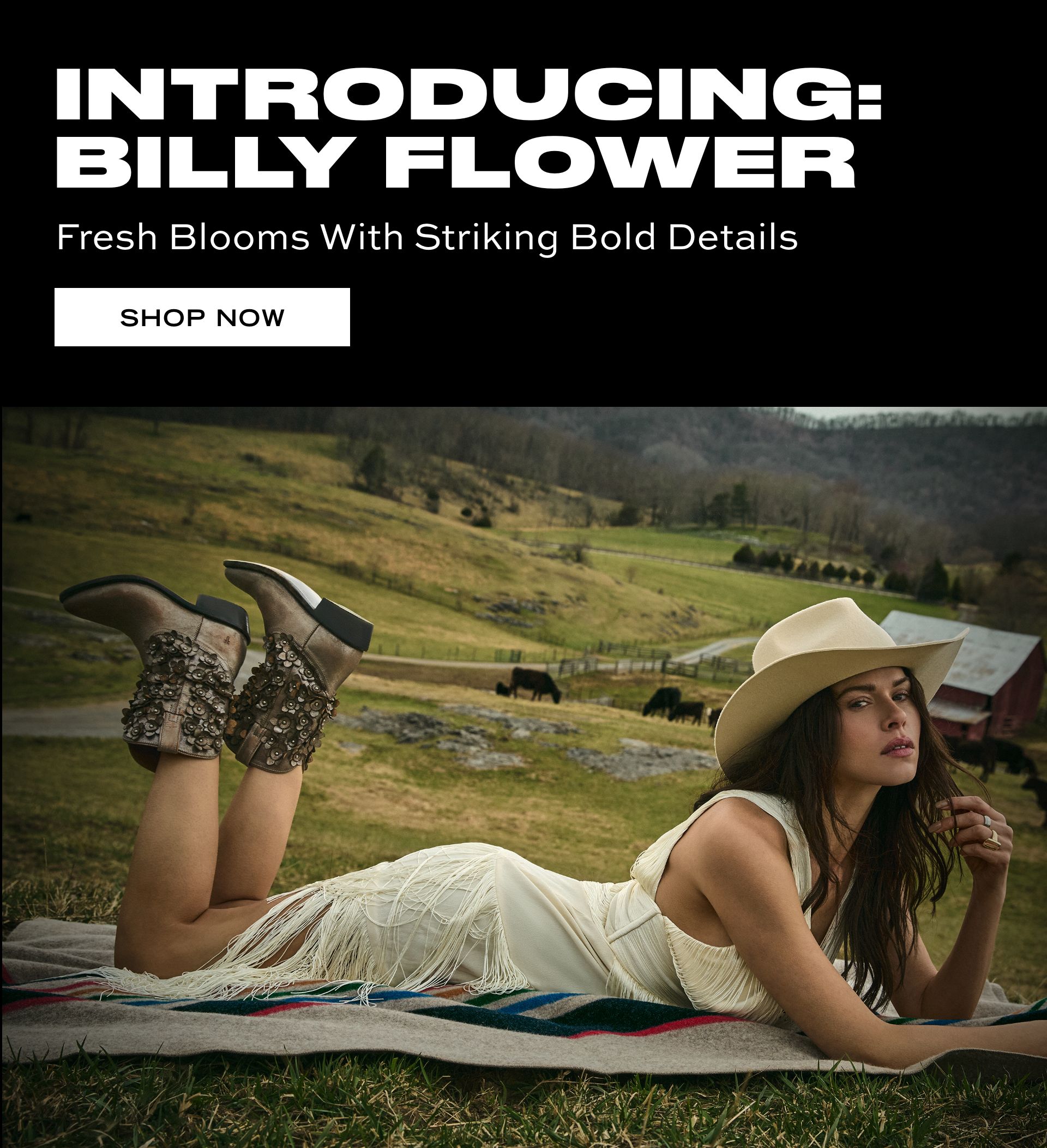 Introducing: Billy Flower | Fresh Blooms With Striking Bold Details | Shop Now Introducing: Billy Flower | Fresh Blooms With Striking Bold Details | Shop Now