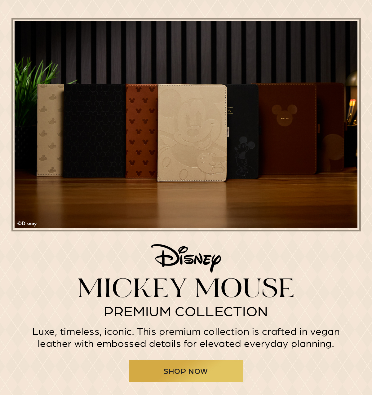 Disney Mickey Mouse Premium Collection