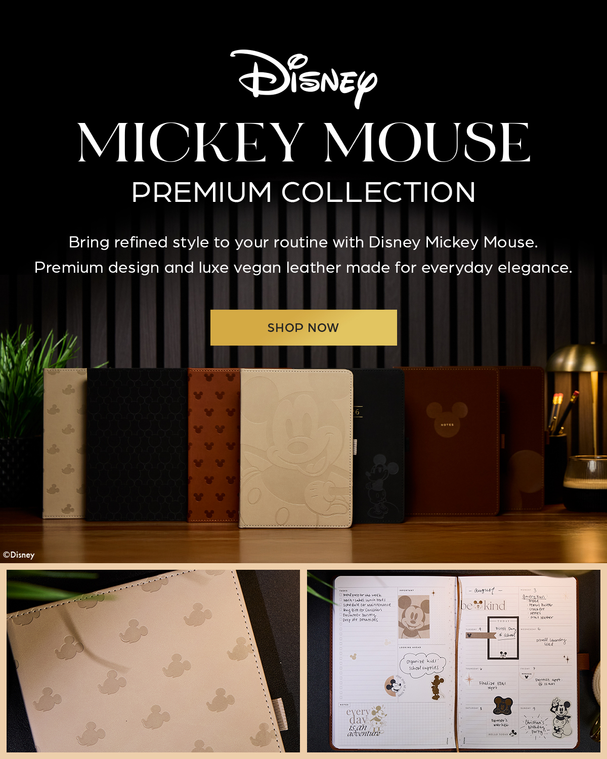Disney Mickey Mouse Premium Collection