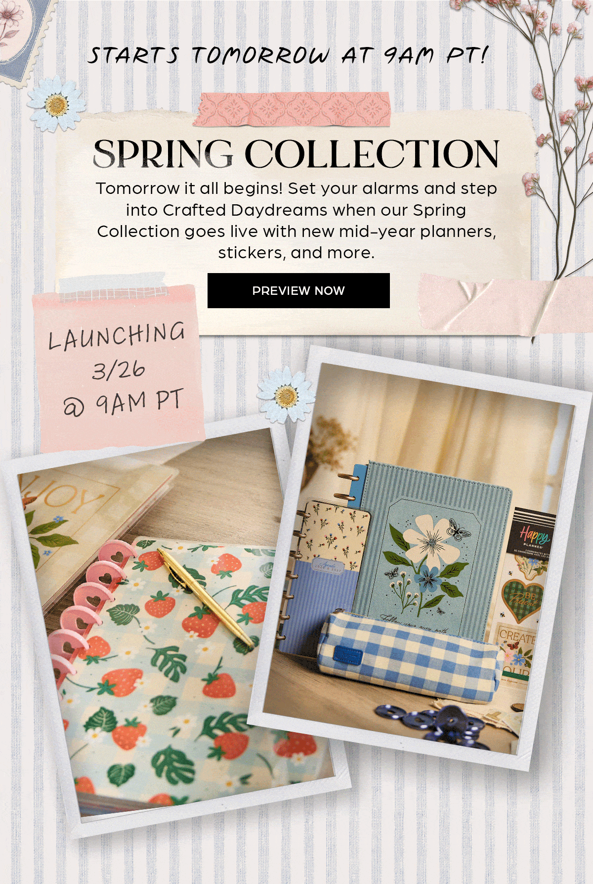 Spring Collection- Preview Now - Launching 3/26/26 at 9am PT