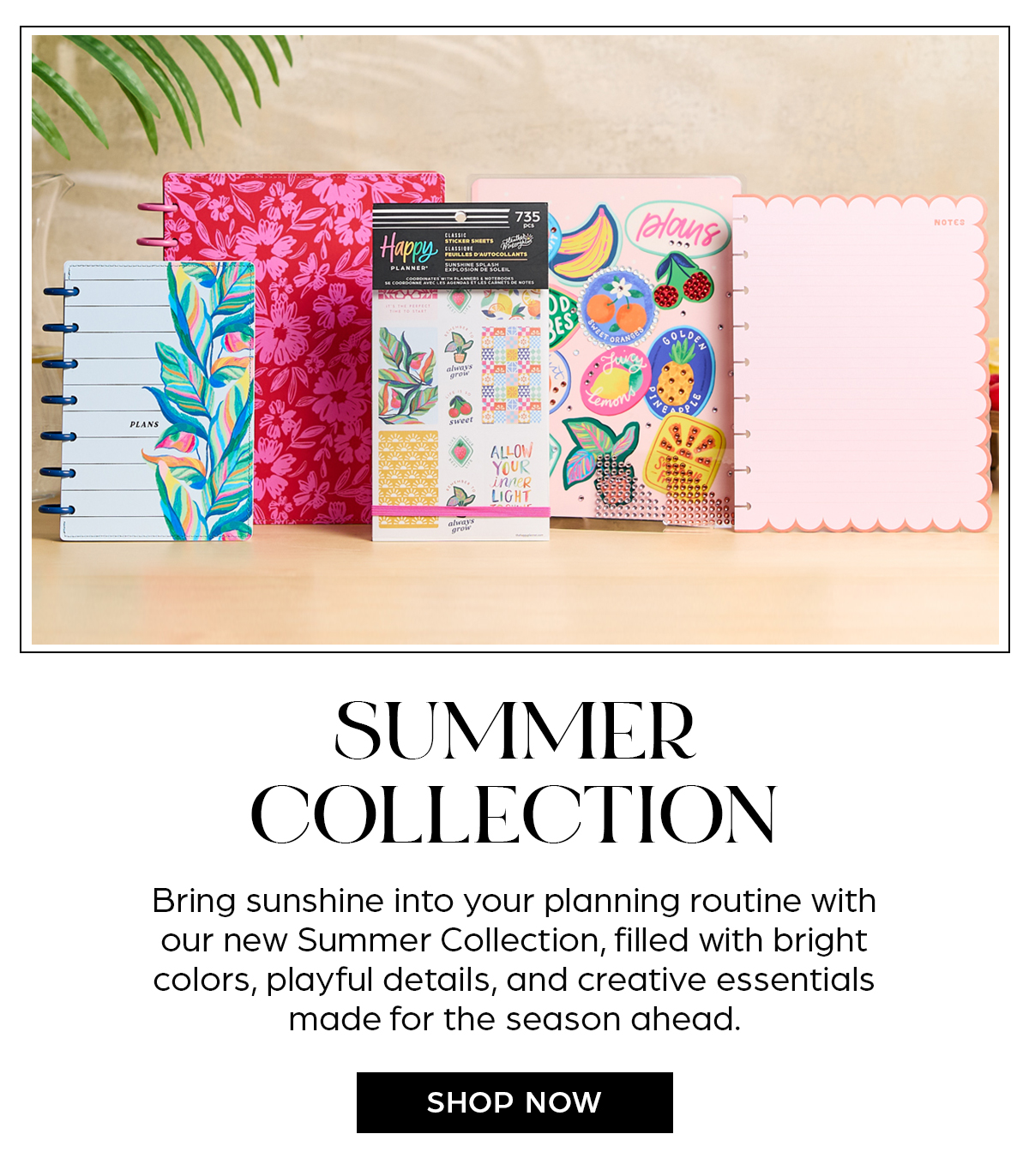 Summer Collection - Shop Now