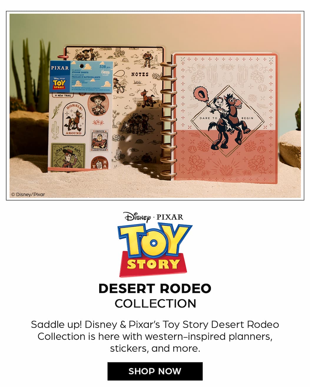 Disney and Pixar Toy Story Desert Rodeo Collection