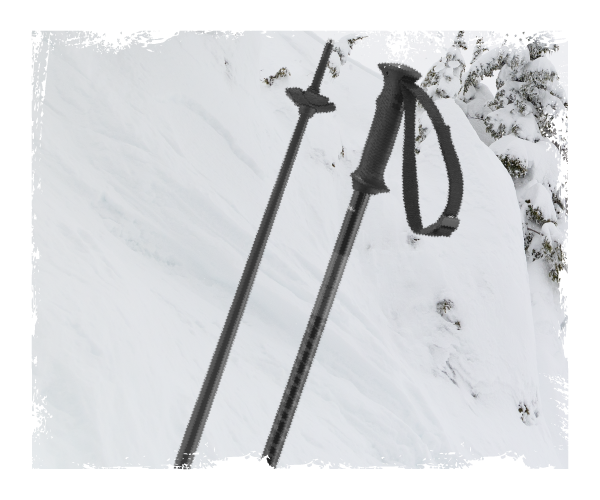 Salomon Polar Access Ski Poles