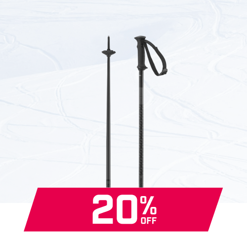 Salomon Polar Access Ski Poles