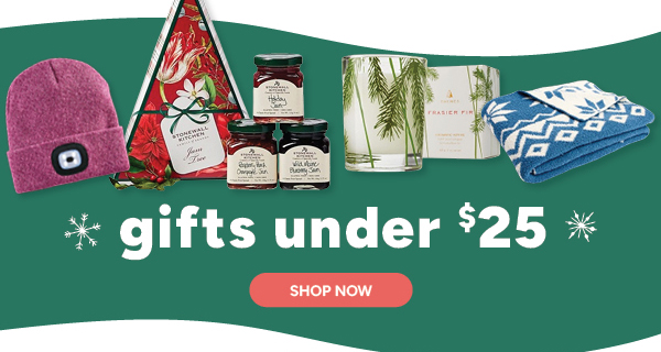 Gifts under $25 shop now