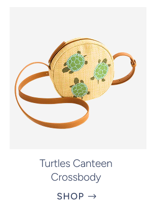 turtles canteen crossbody