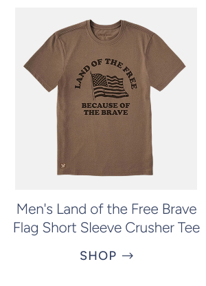 Men's Land of the Free Brave Flag Short Sleeve Crusher Tee in Mushroom Brown
