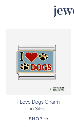 I Love Dogs Charm in Silver