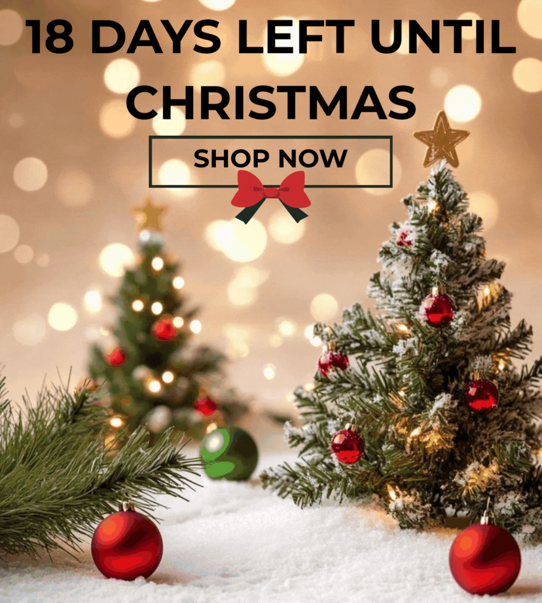 Holiday Savings