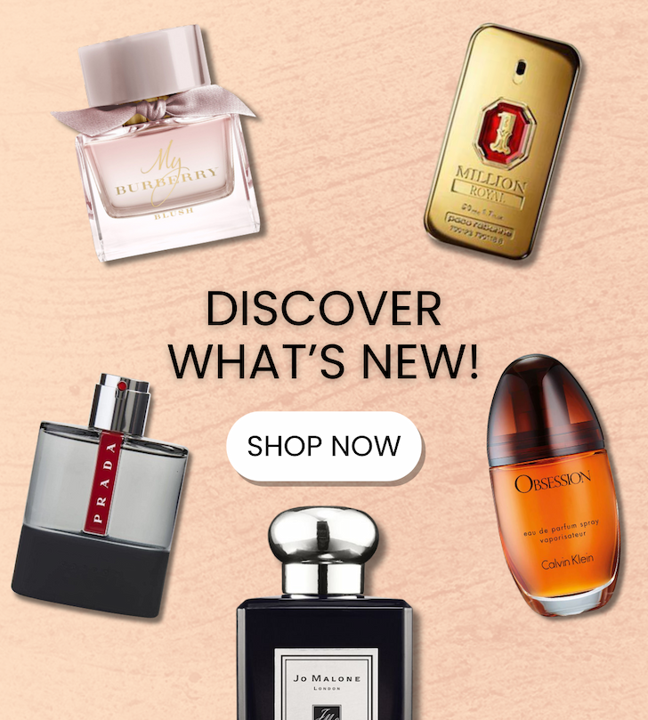 Discover what's new!