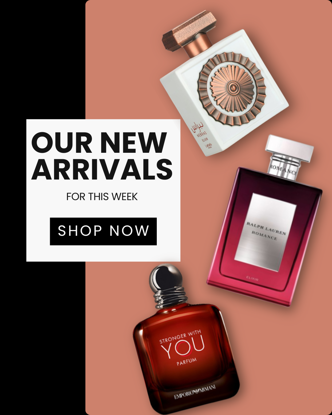 Don't Miss our New Arrivals