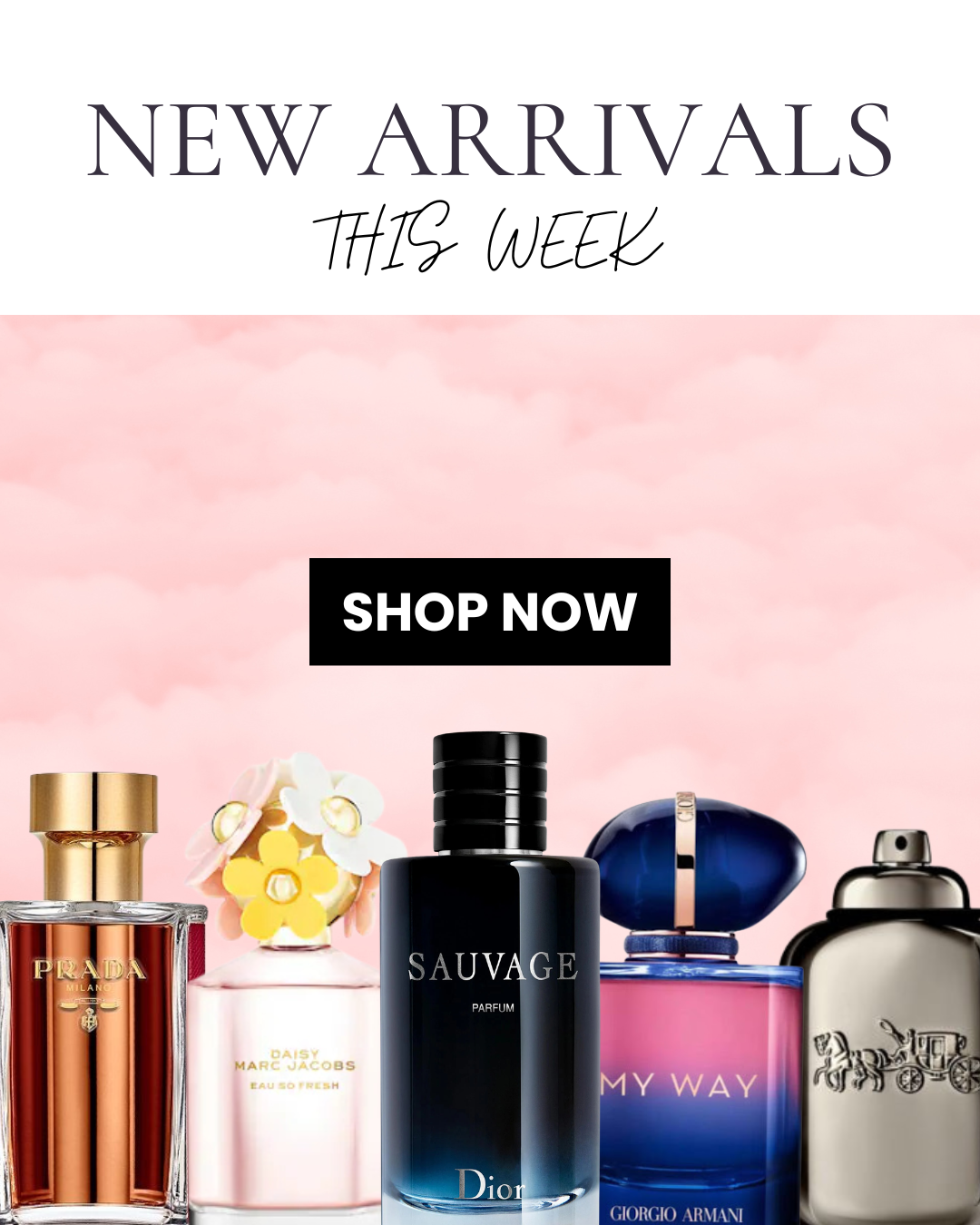 Don't Miss our New Arrivals
