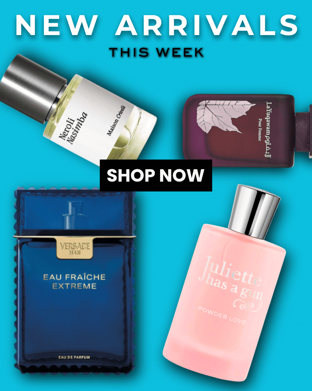 Don't Miss our New Arrivals