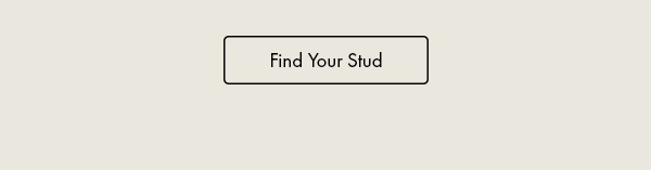 Find Your Stud