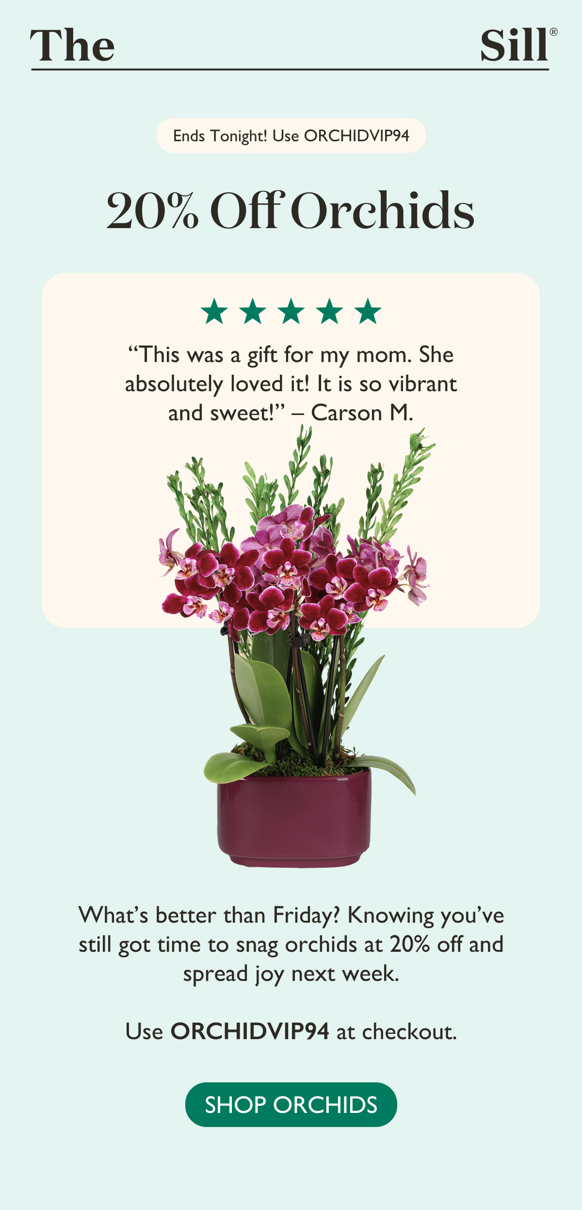 Get 20% off Orchids with code ORCHIDVIP94