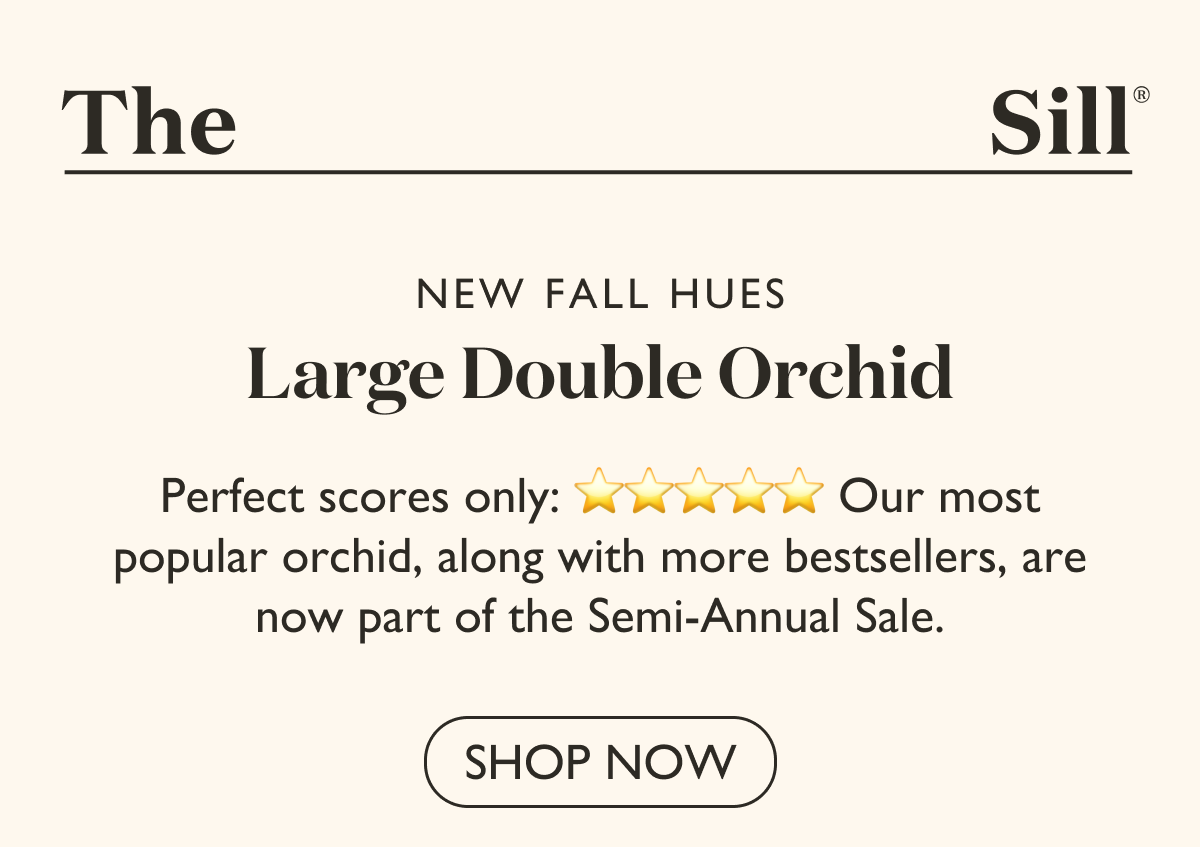Our most popular orchid, along with more bestsellers, are now part of the Semi-Annual Sale.