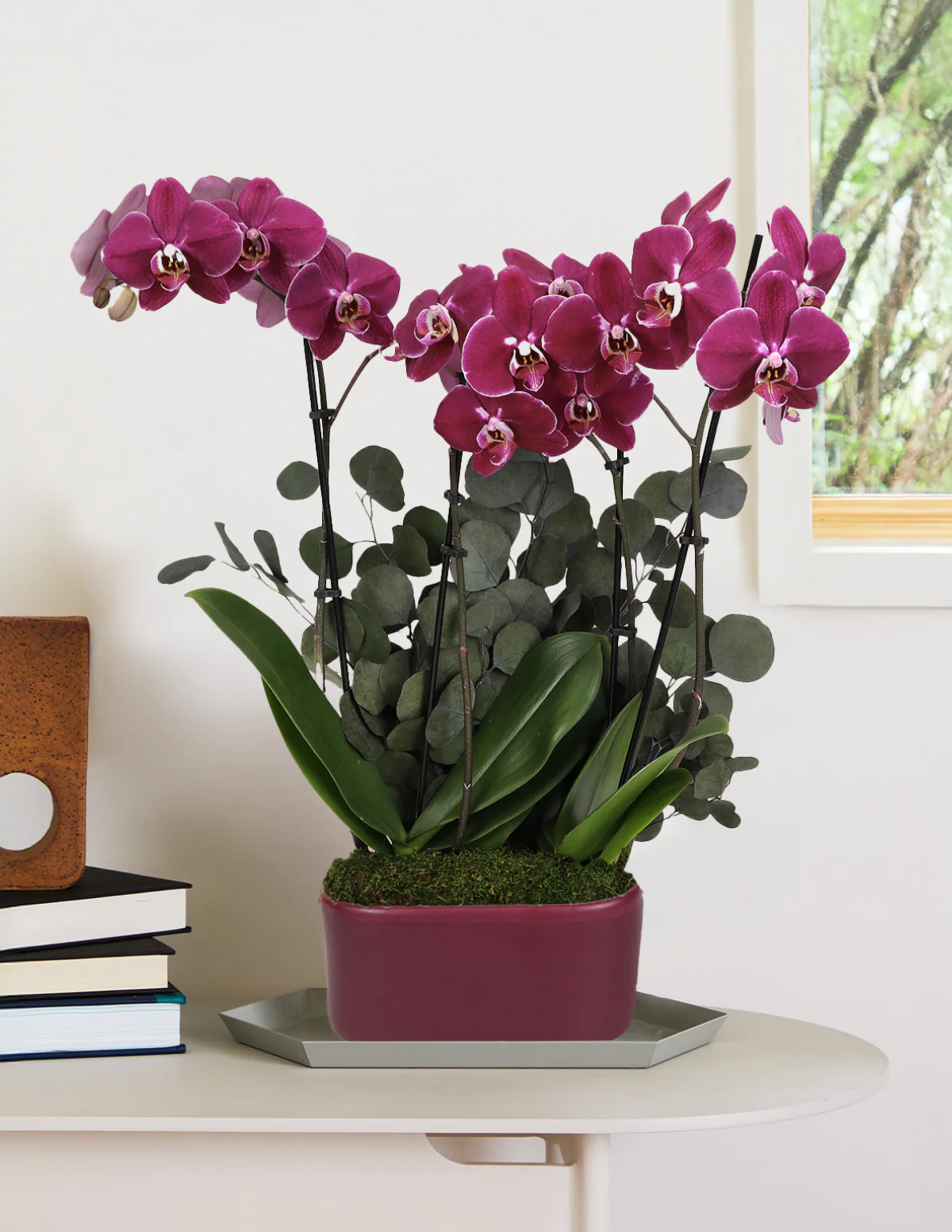 Image of Large Double Orchid