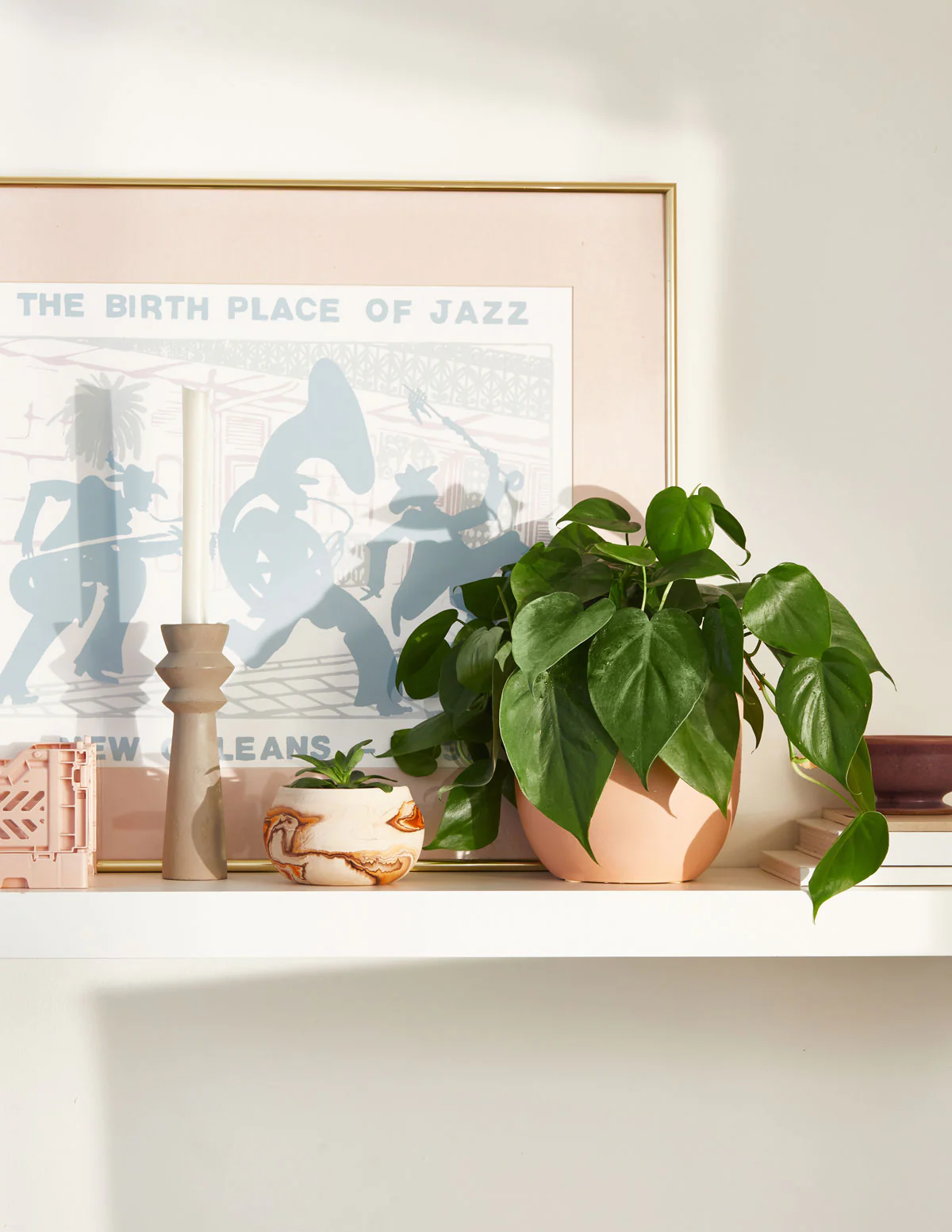 Image of Heartleaf Philodendron