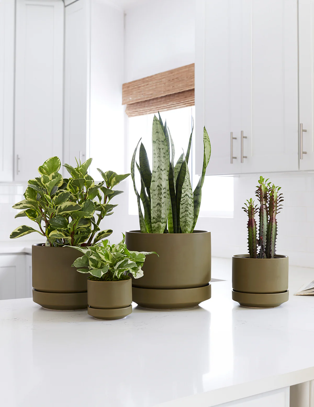Image of Round Two Planter