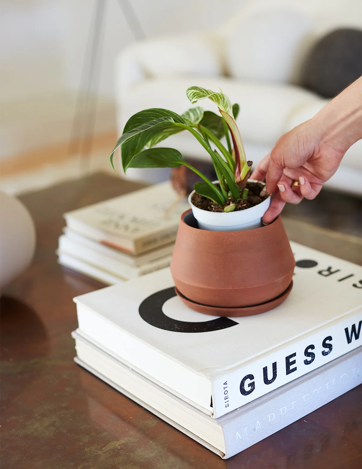 Image of The Rancho Planter