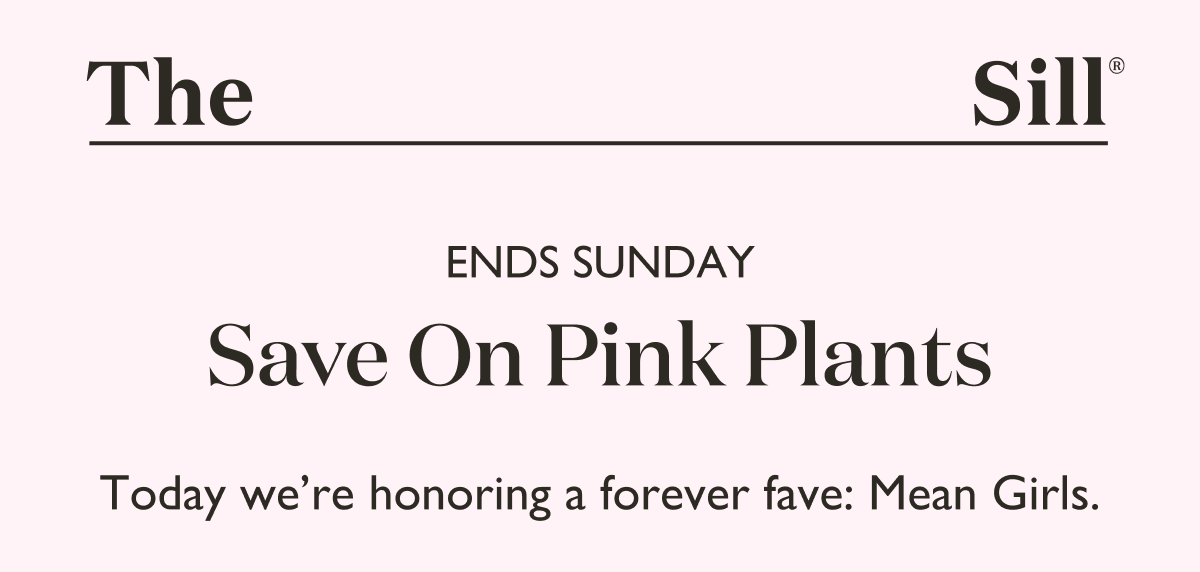 Shop 20% Off Pink Plants