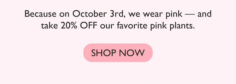 On October 3rd, we wear pink and take 20% off our favorite pink plants.