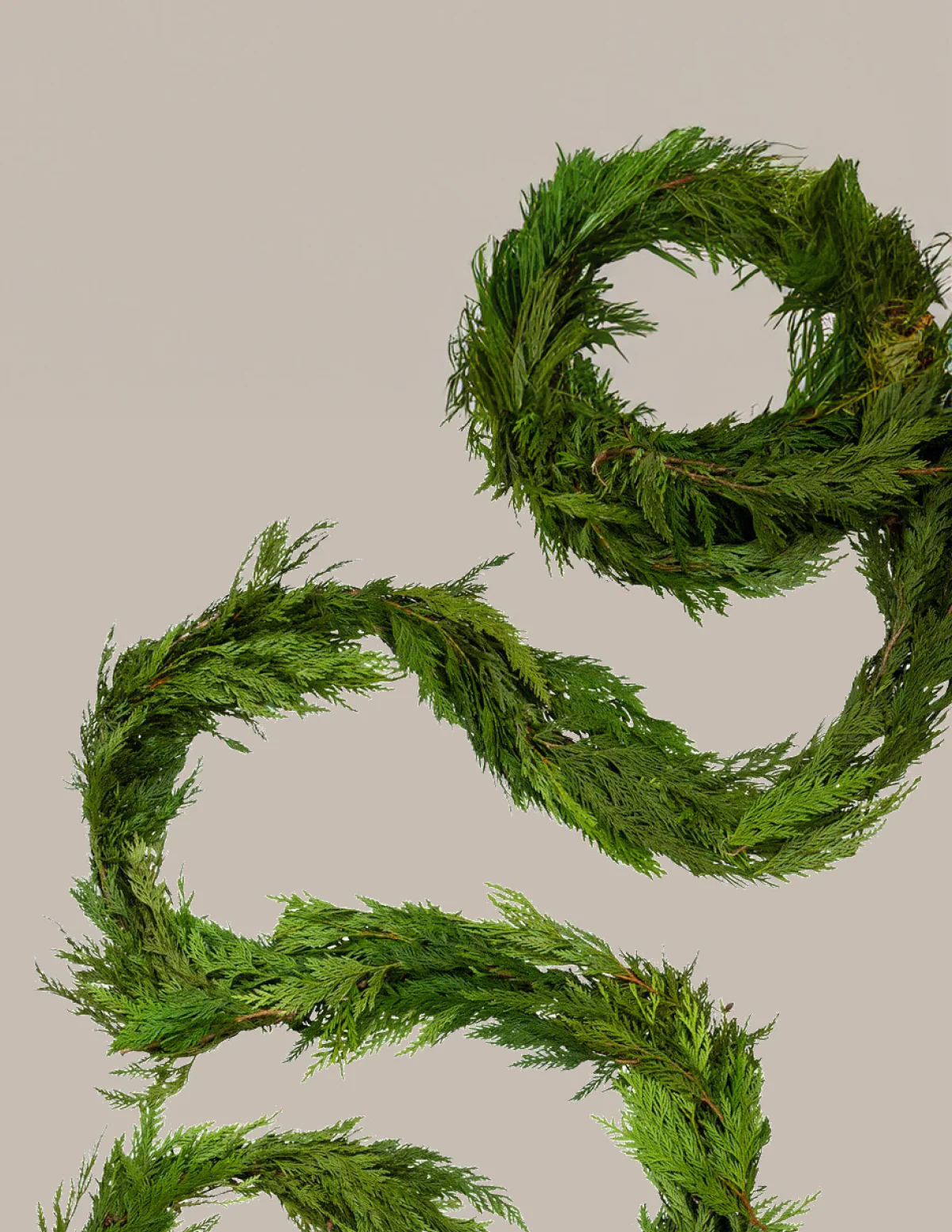 Image of 25 Ft. Cedar Garland
