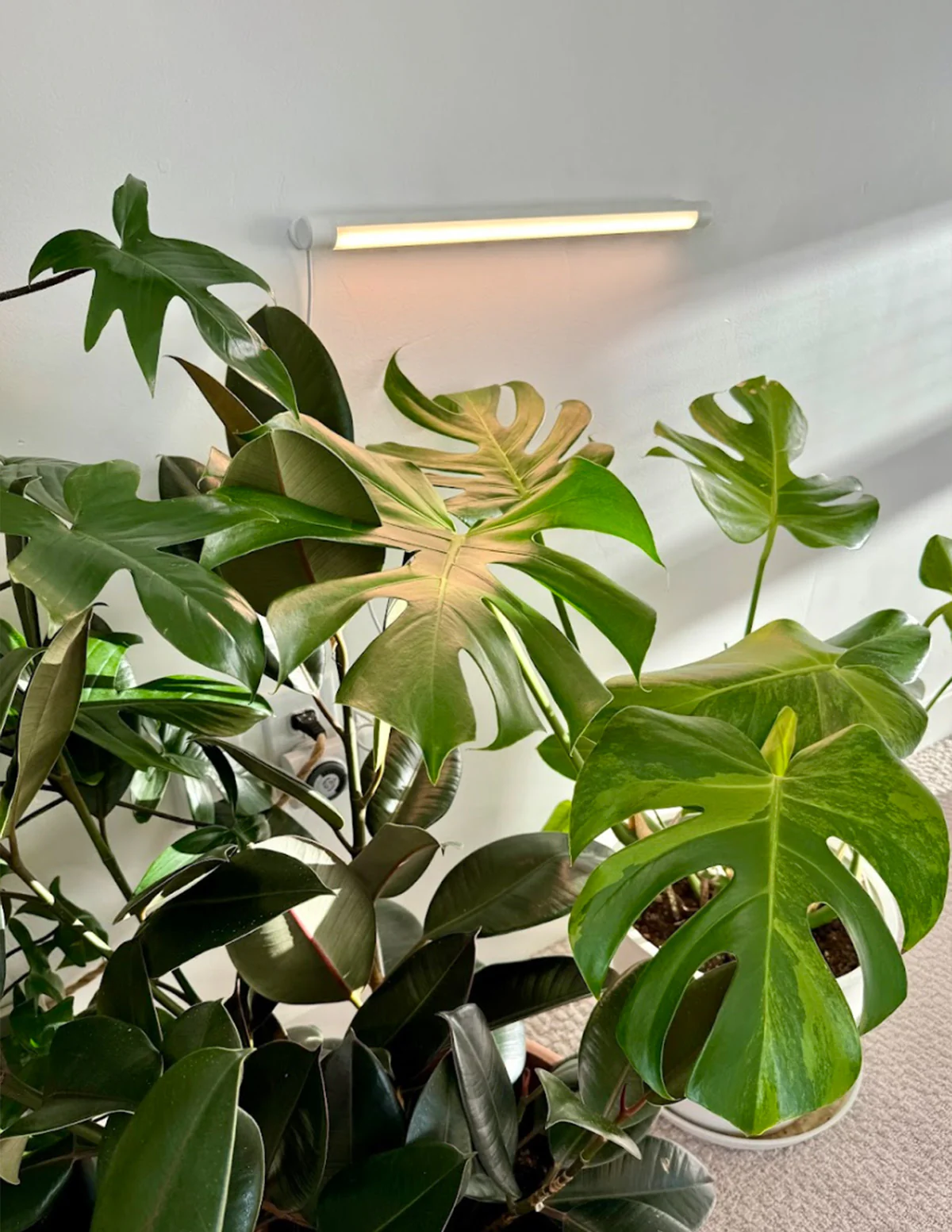 Image of Grove Bar Light