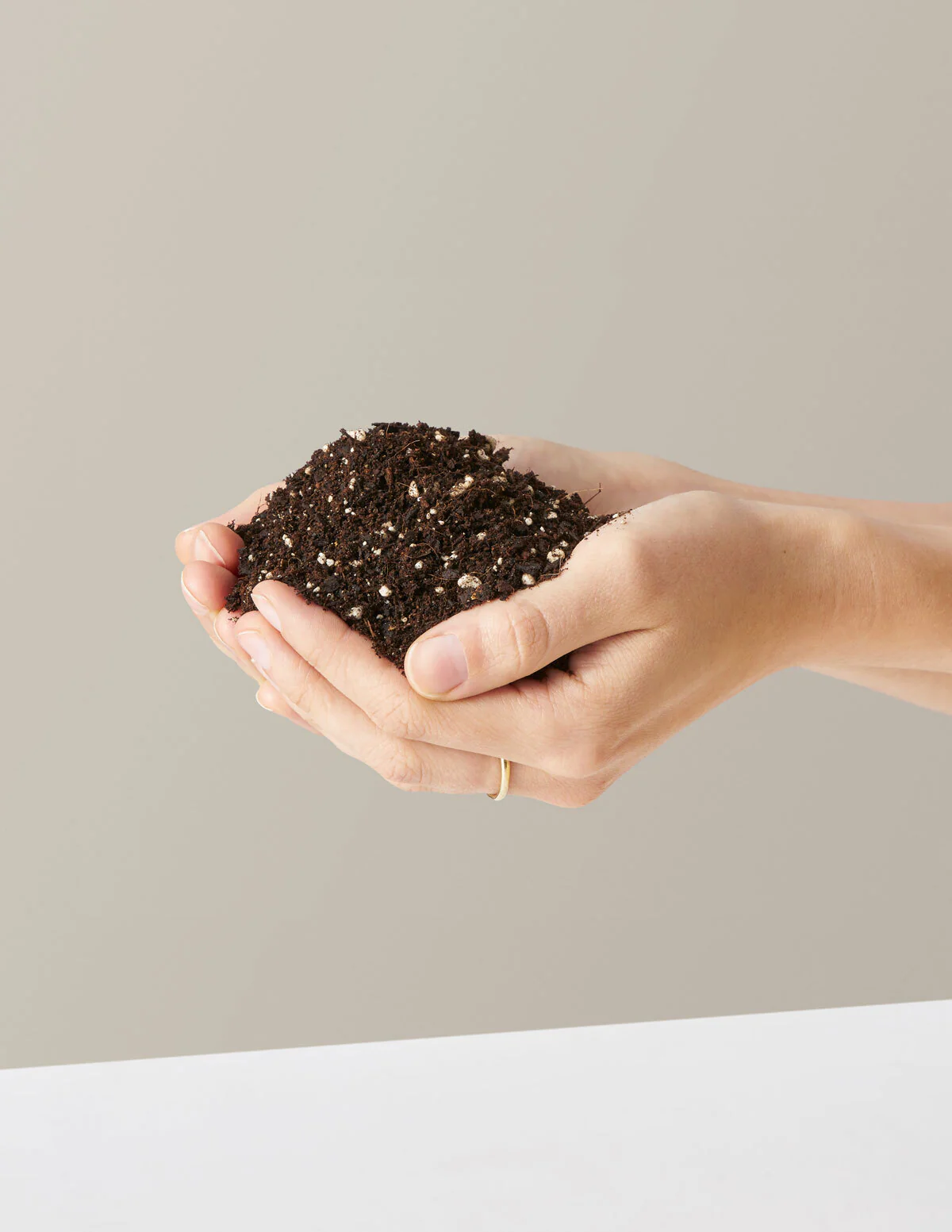 Image of Premium Potting Mix