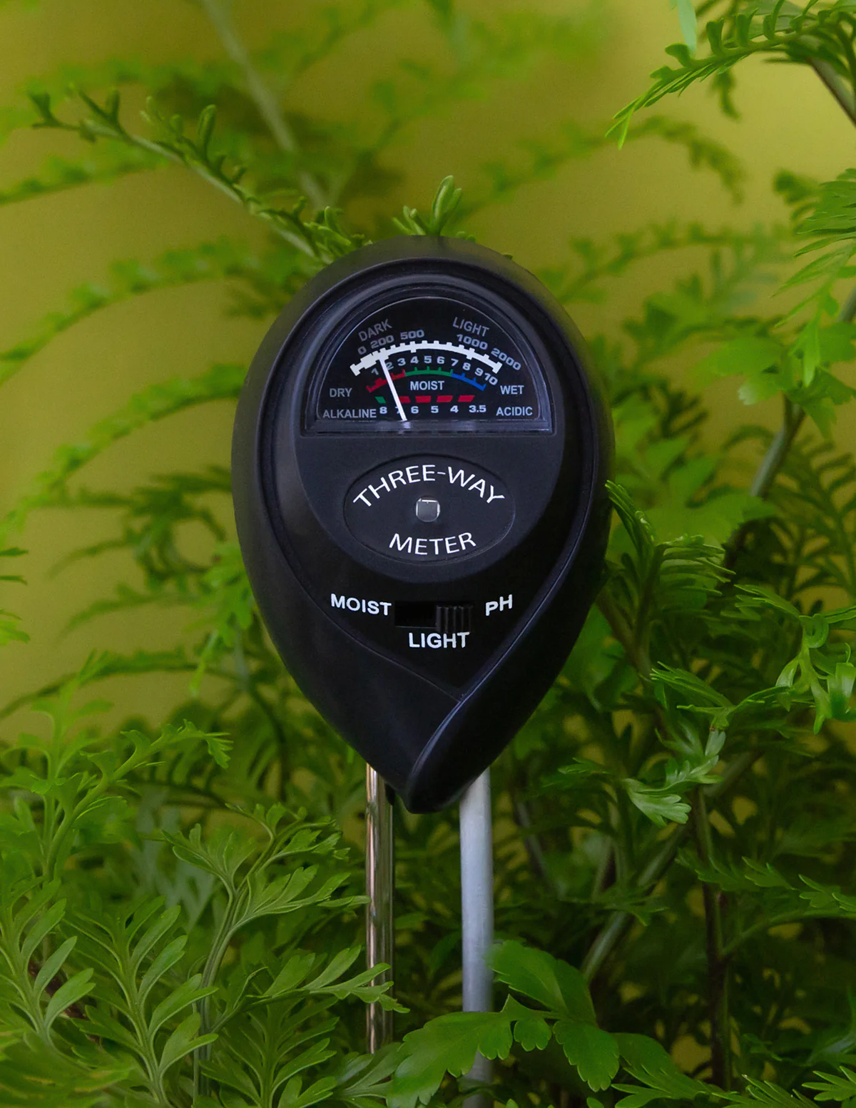 Image of Moisture Meter