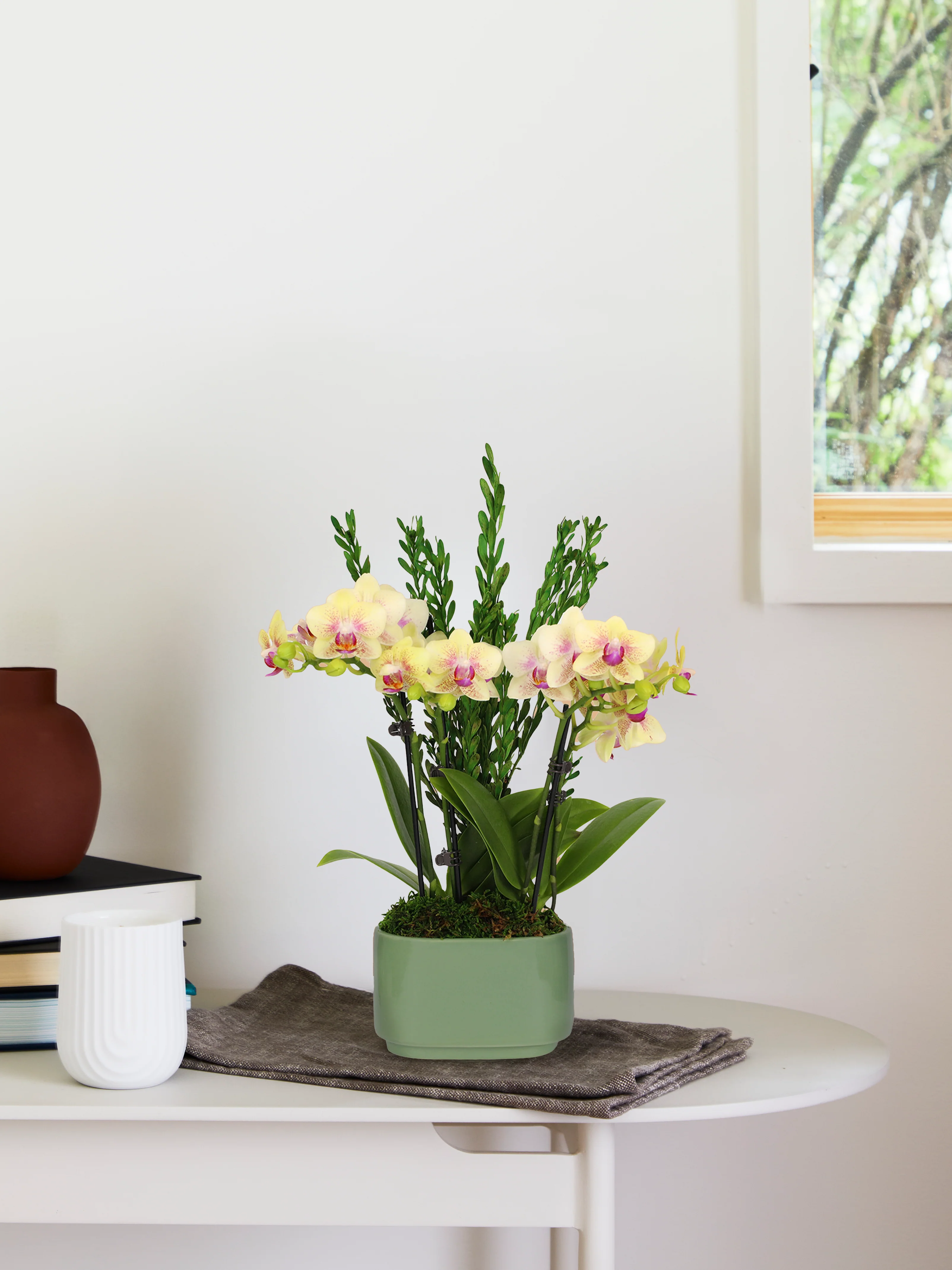 Image of Small Double Orchid