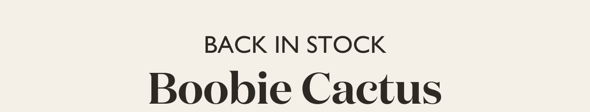 Back In Stock: The Boobie Cactus