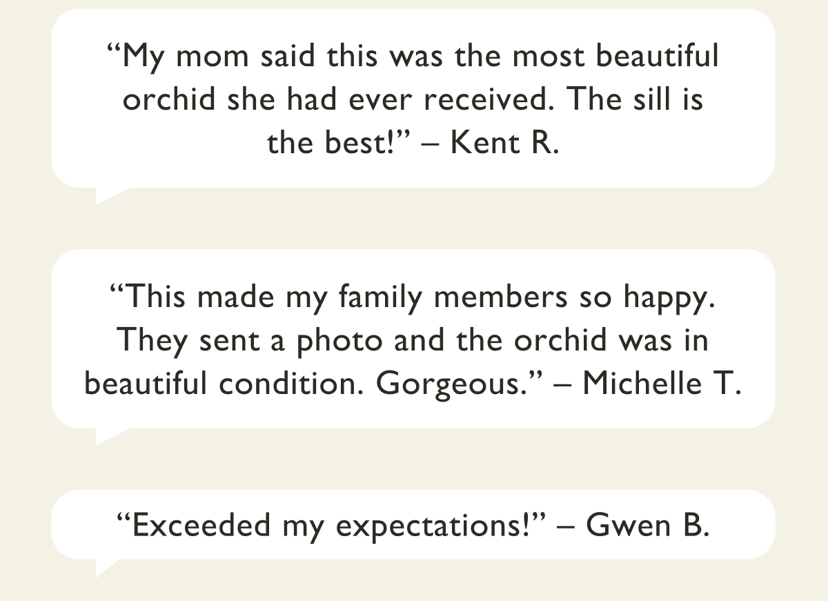 Large Double Orchid Customer Reviews
