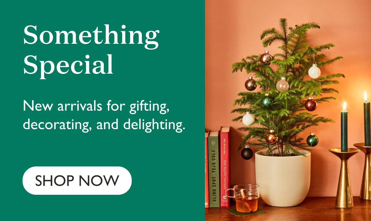 New arrivals for gifting, decorating, and delighting.