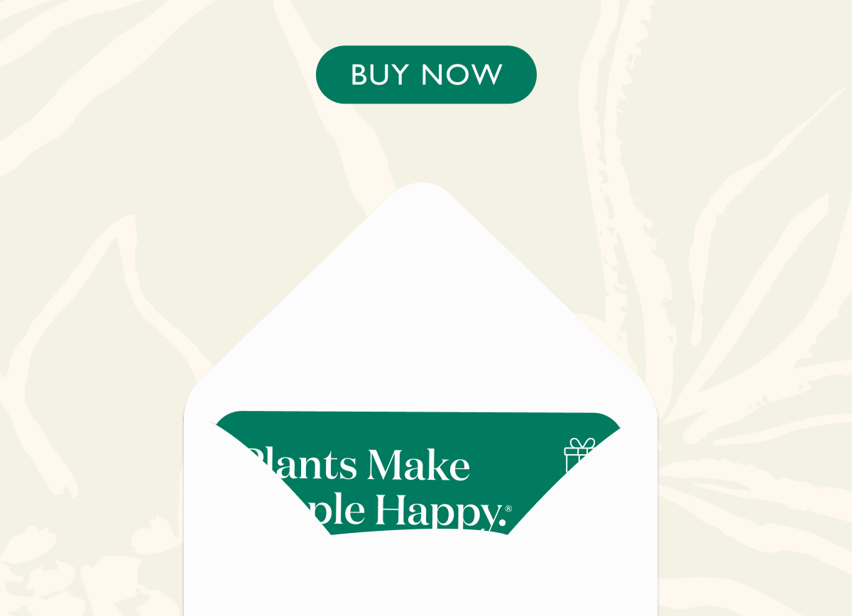 Spend $100, get $25. Spend $200, get $50. Spend $300, get $100. 