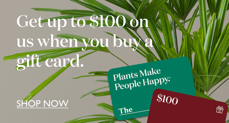 Get up to $100 on us when you buy a gift card. Ends soon. 
