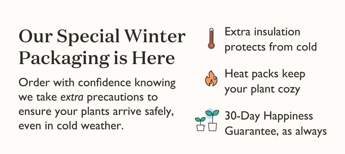 Our special Winter Packaging is here! Order with confidence. 
