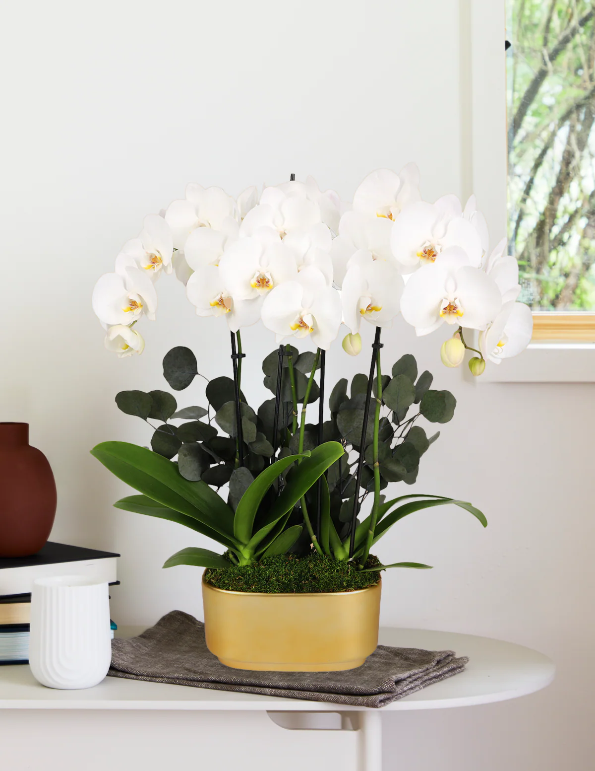 Image of Large Double Orchid