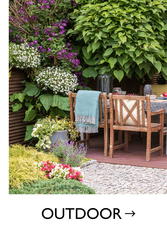 Shop Outdoor Plants