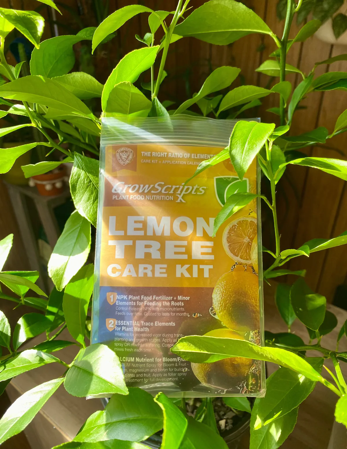 Image of Lemon Tree Care Kit