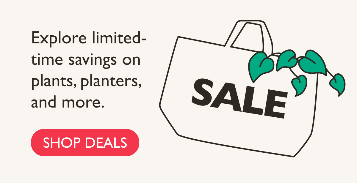 Explore limited-time savings on plants, planters, and more.