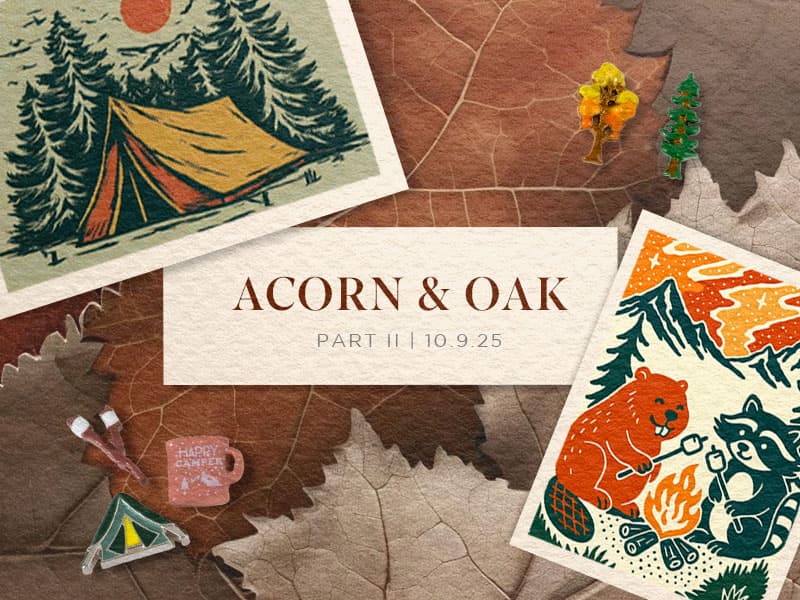 Acorn & Oak Part II Announcement