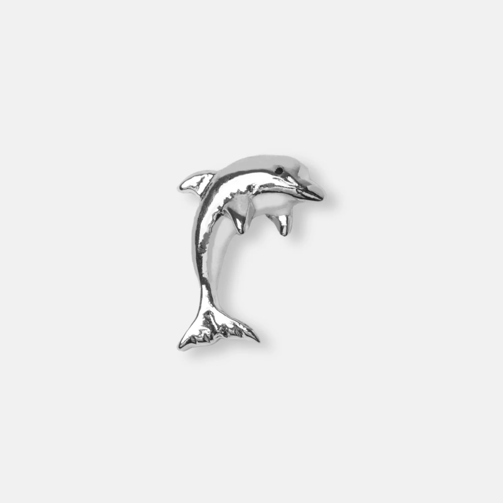 Image of Silver Dolphin Charm
