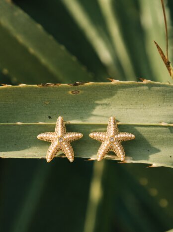Nature image of the Starborn Stud Earrings on a leaf 