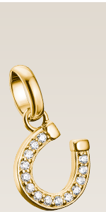 Charm pendant horseshoe with stones Connect gold-plated