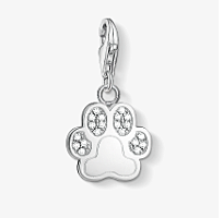 Charm pendant paw silver